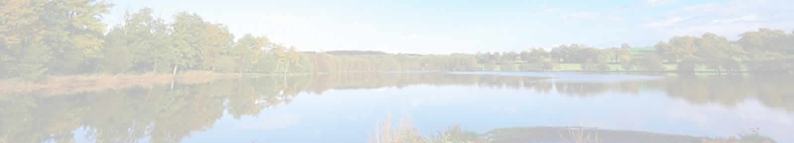 What we offer ……