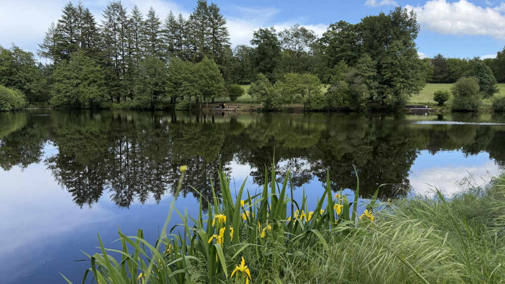 Vieux Lake 10