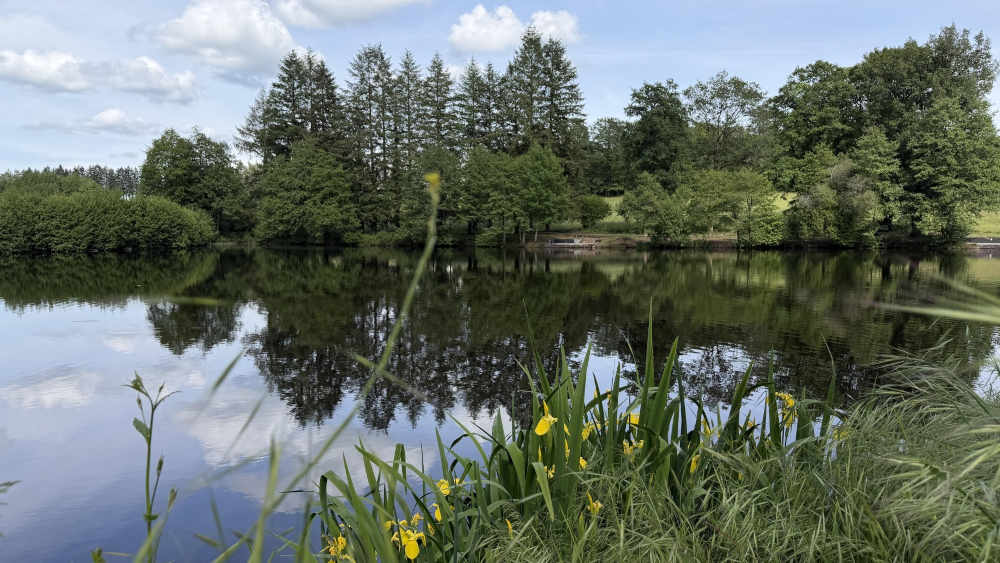 Vieux Lake 13